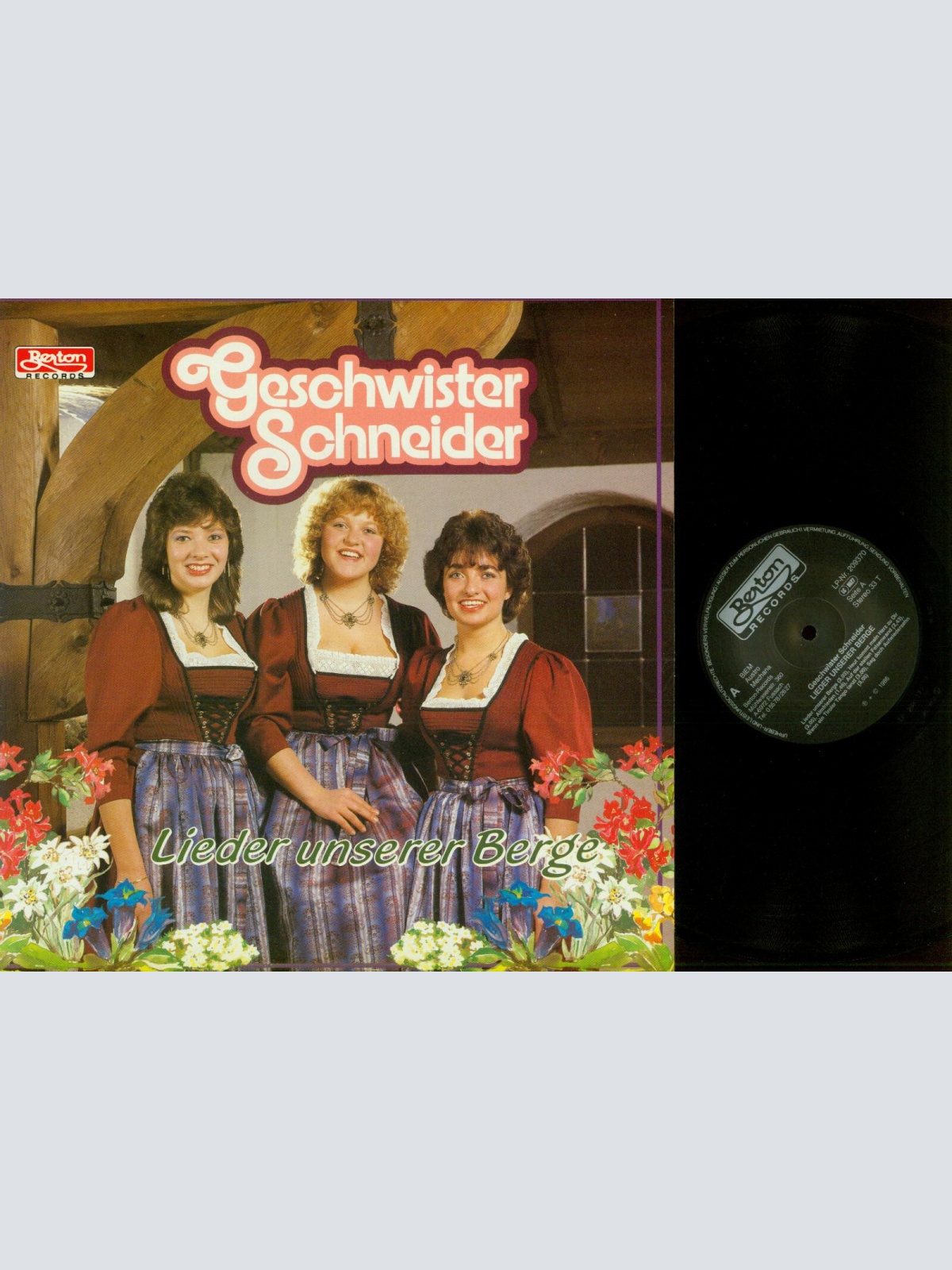 LP--Geschwister Schneider - Lieder unserer Berge   / NM
