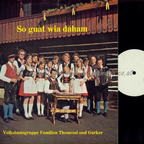 LP - VOLKSTUMSGRUPPE FAMILIEN THEMESSL UND GURKER SO GUAT WIA // MUSTERPLATTE