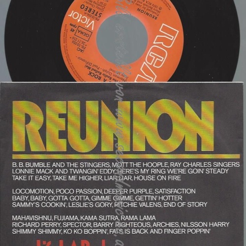 7"   Reunion   Life Is A Rock