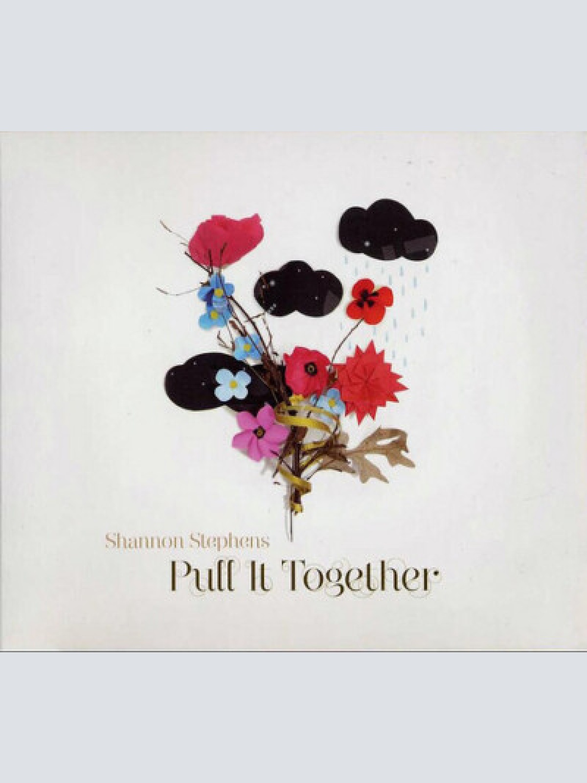 CD, Album, Dig Shannon Stephens - Pull It Together