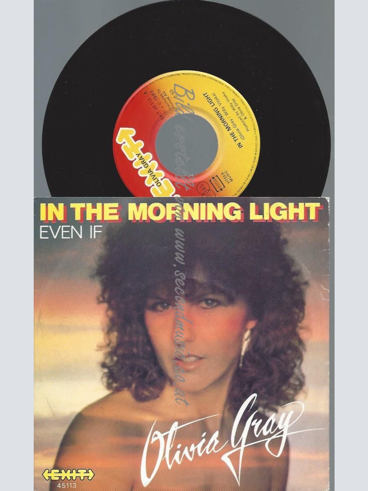 7"   Olivia Gray – In The Morning Light  ///DIFFRENT COVER