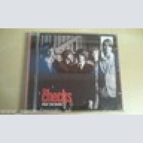 MAXI CD--THE CHECKS--WHAT YOU HEARD--3 TRACKS