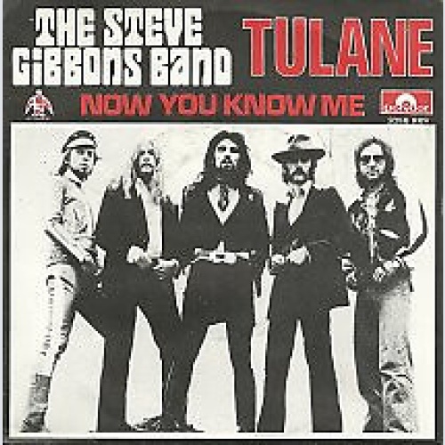 7", Single The Steve Gibbons Band* - Tulane