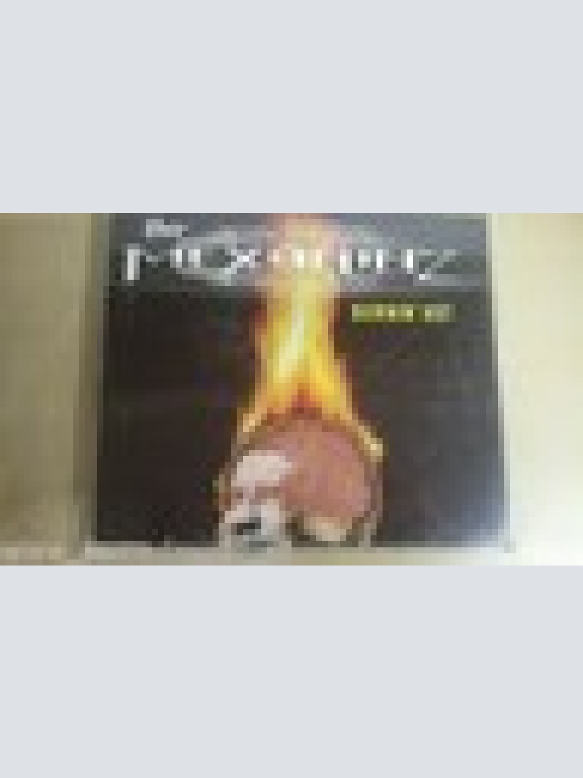 MAXI CD --THE MEXAKINZ--BURNIN HOT --3 TRACKS