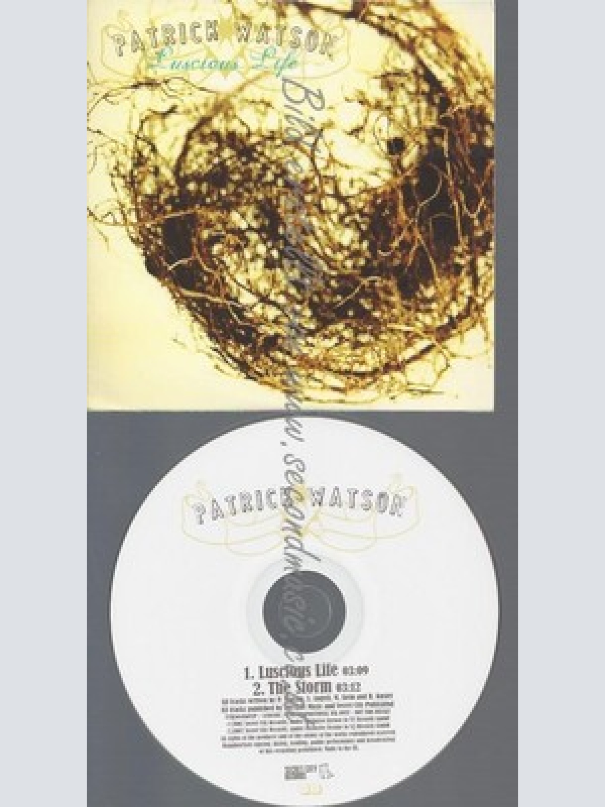 PROMO CD--PATRICK WATSON--LUSCIOUS LIFE--2TR
