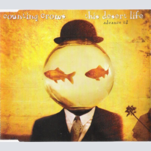 CD, Album, Promo Counting Crows - This Desert Life - Advance CD