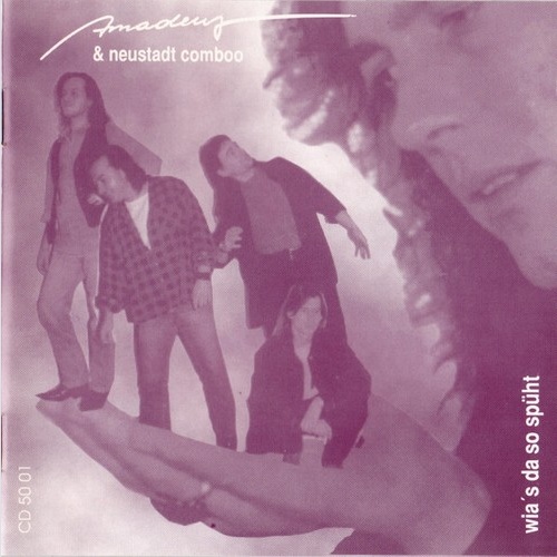 CD, Album Amadeus & Neustadt Comboo - Wia's Da So Spüht