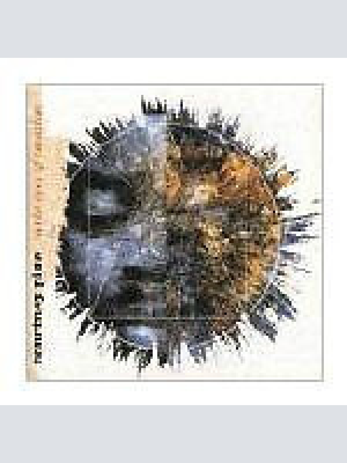 CD, Album Courtney Pine - To The Eyes Of Creation