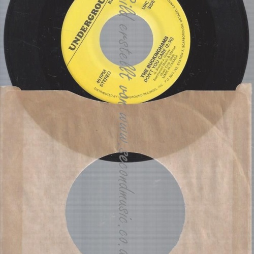 7"   The Buckinghams  Don't You Care