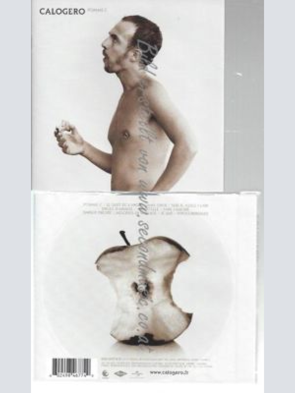 CD--CALOGERO--    POMME C