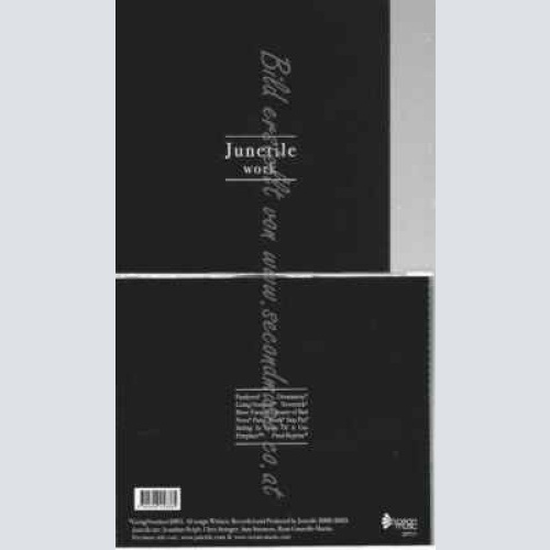 CD--JUNETILE | --WORK