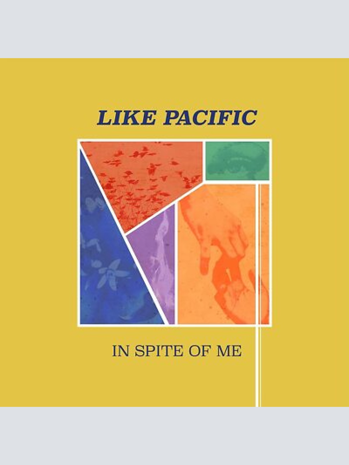 LP--  Like Pacific ?– In Spite Of Me // Purple
