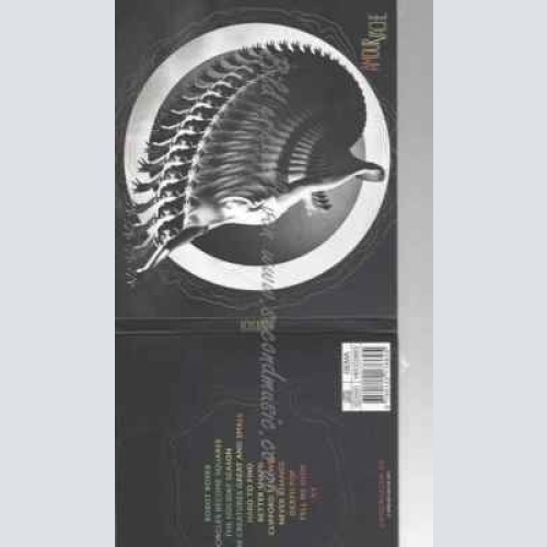 CD--AMOUR VACHE--AMOUR VACHE