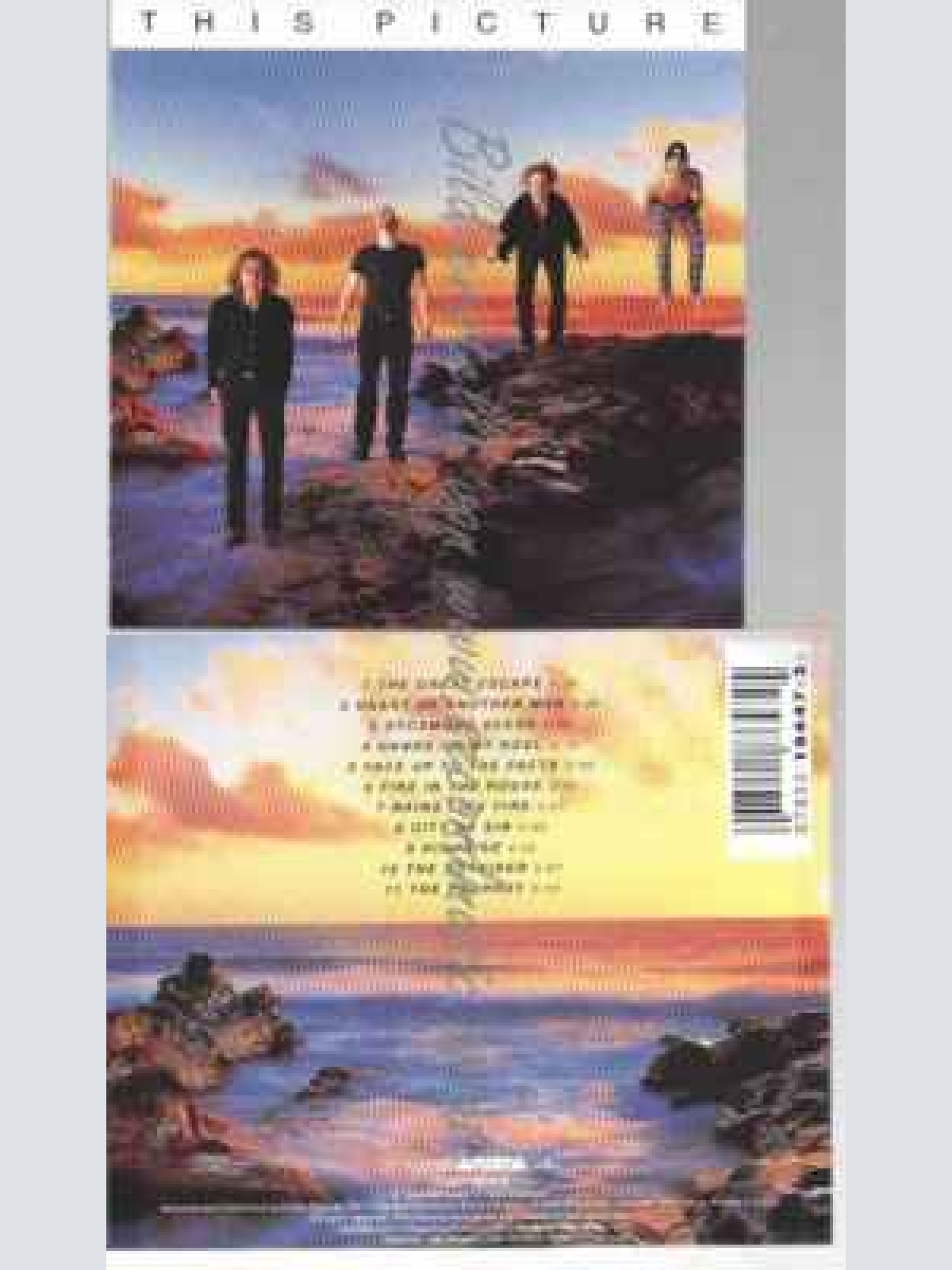 CD--THIS PICTURE | --FIERCE