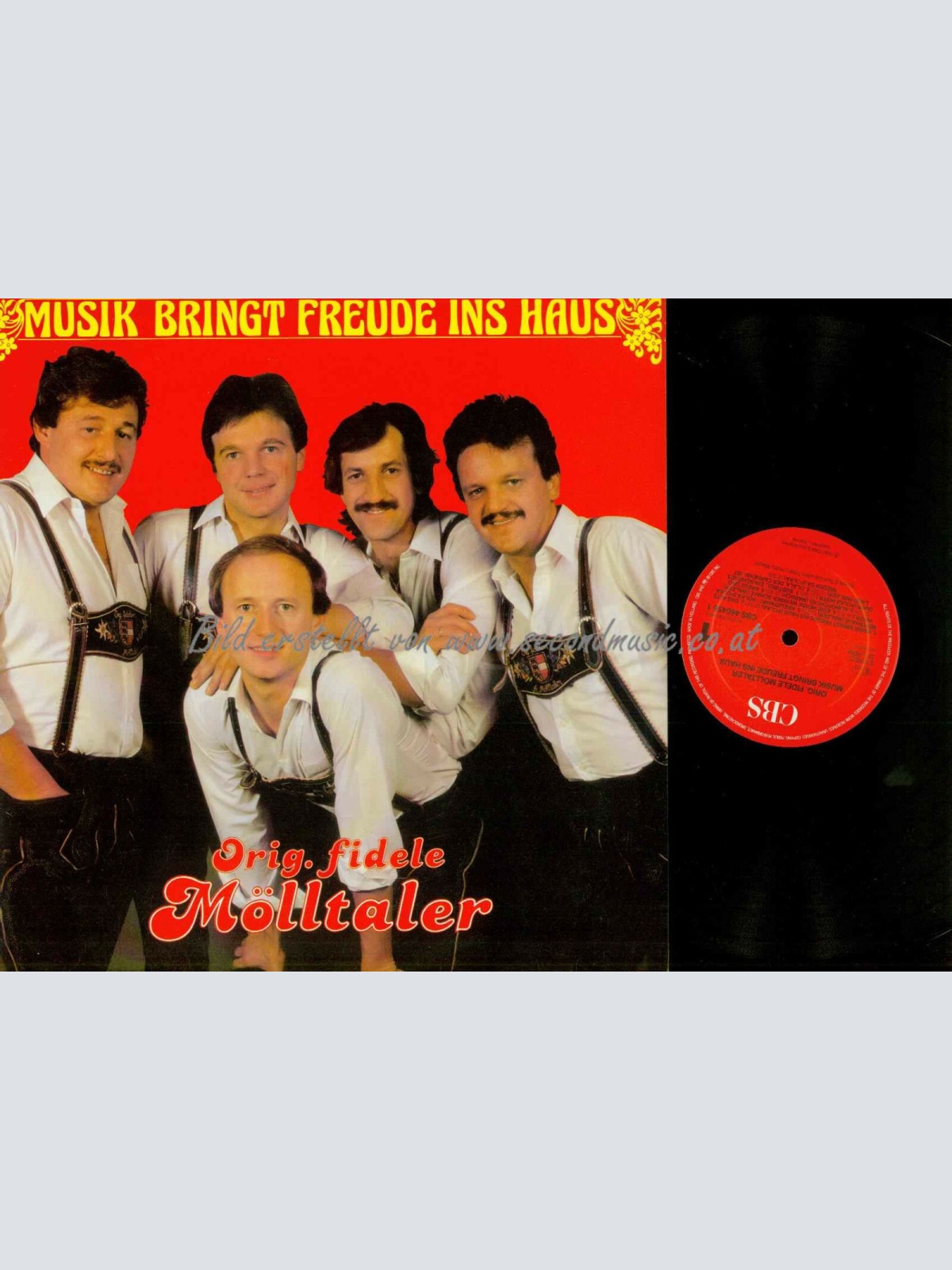 LP-- Die Fidelen Mölltaler --  Musik bringt Freude ins Haus  // NM