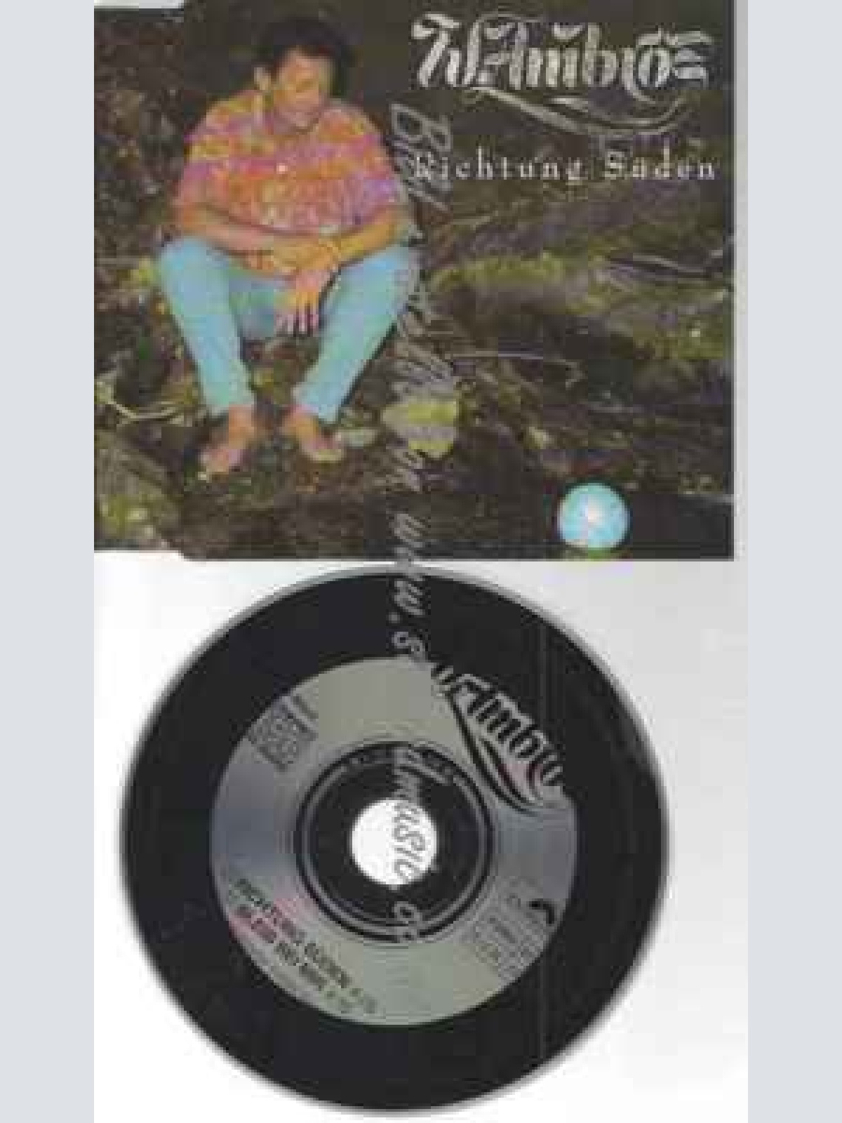 CD--Wolfgang Ambros--Richtung Süden