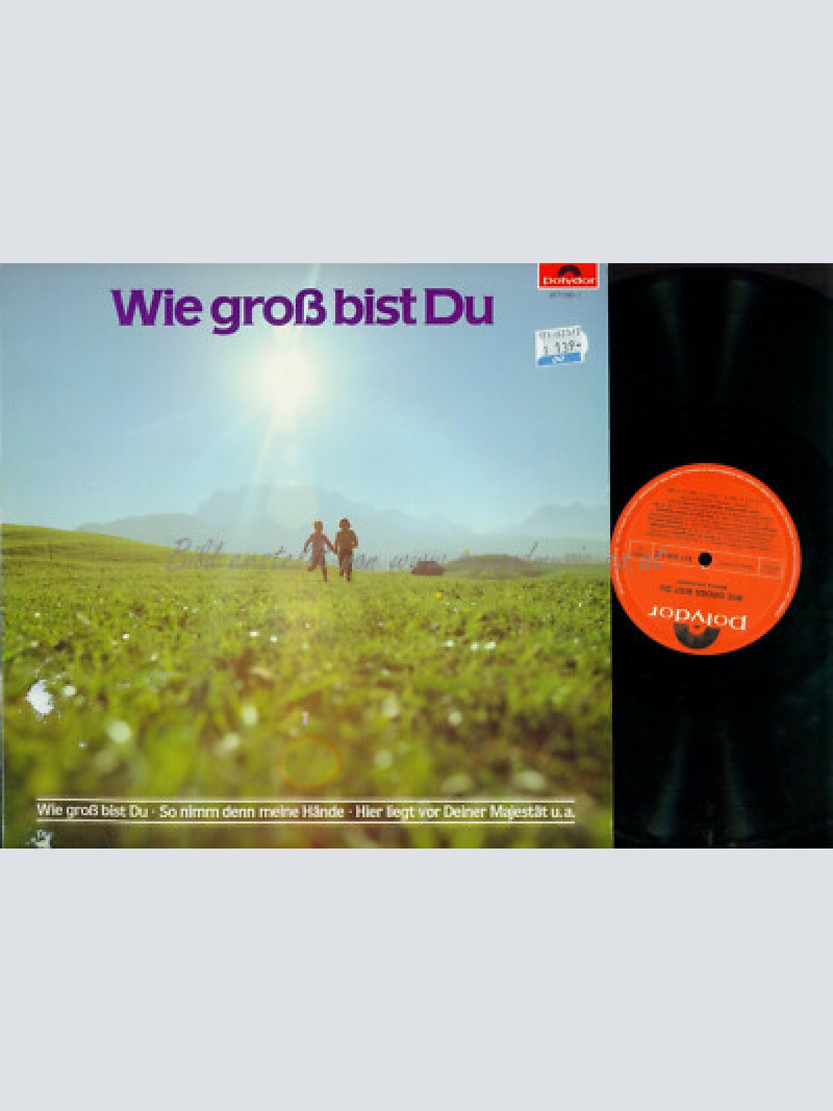 LP-- Various – Wie Groß Bist Du  // Diverse Chöre aus Österreich