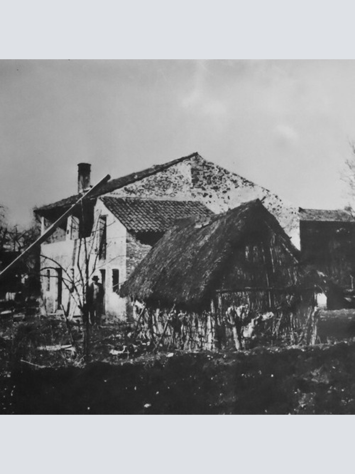 CD, EP, Ltd Anguana - Suman