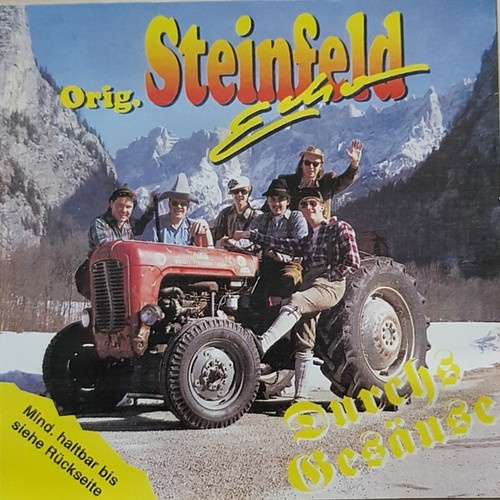 CD, Album Steinfeld Echo - Durchs Gesäuse