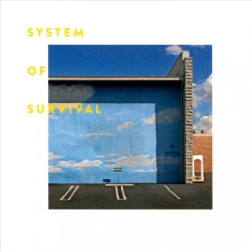 CD, Album System Of Survival - Needle And Thread