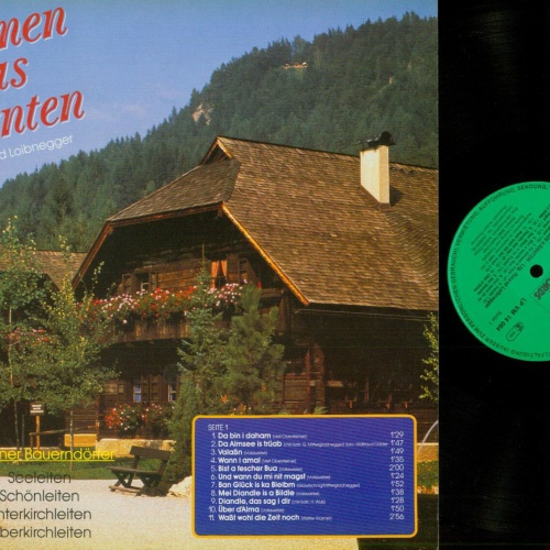 LP--Stimmen aus Kärnten  -- Ltg. Roland Loibnegger / VM Records   //NM