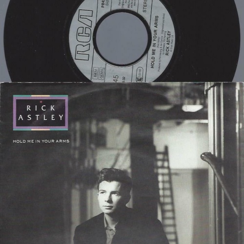 7"    Rick Astley  Hold Me In Your Arms