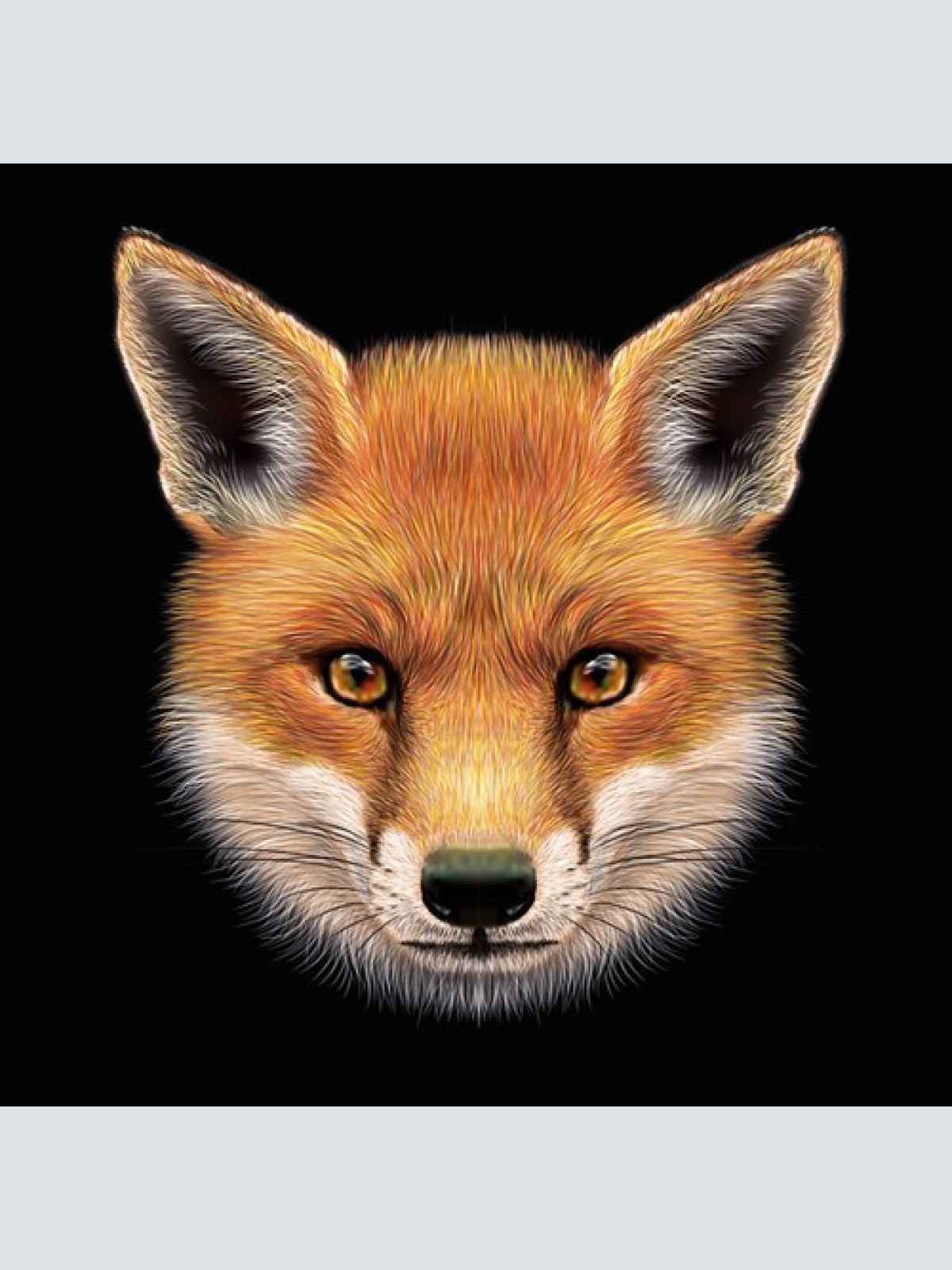 LP, Ltd + CD, Album Les Machines Molles - The Fox And Other Stories