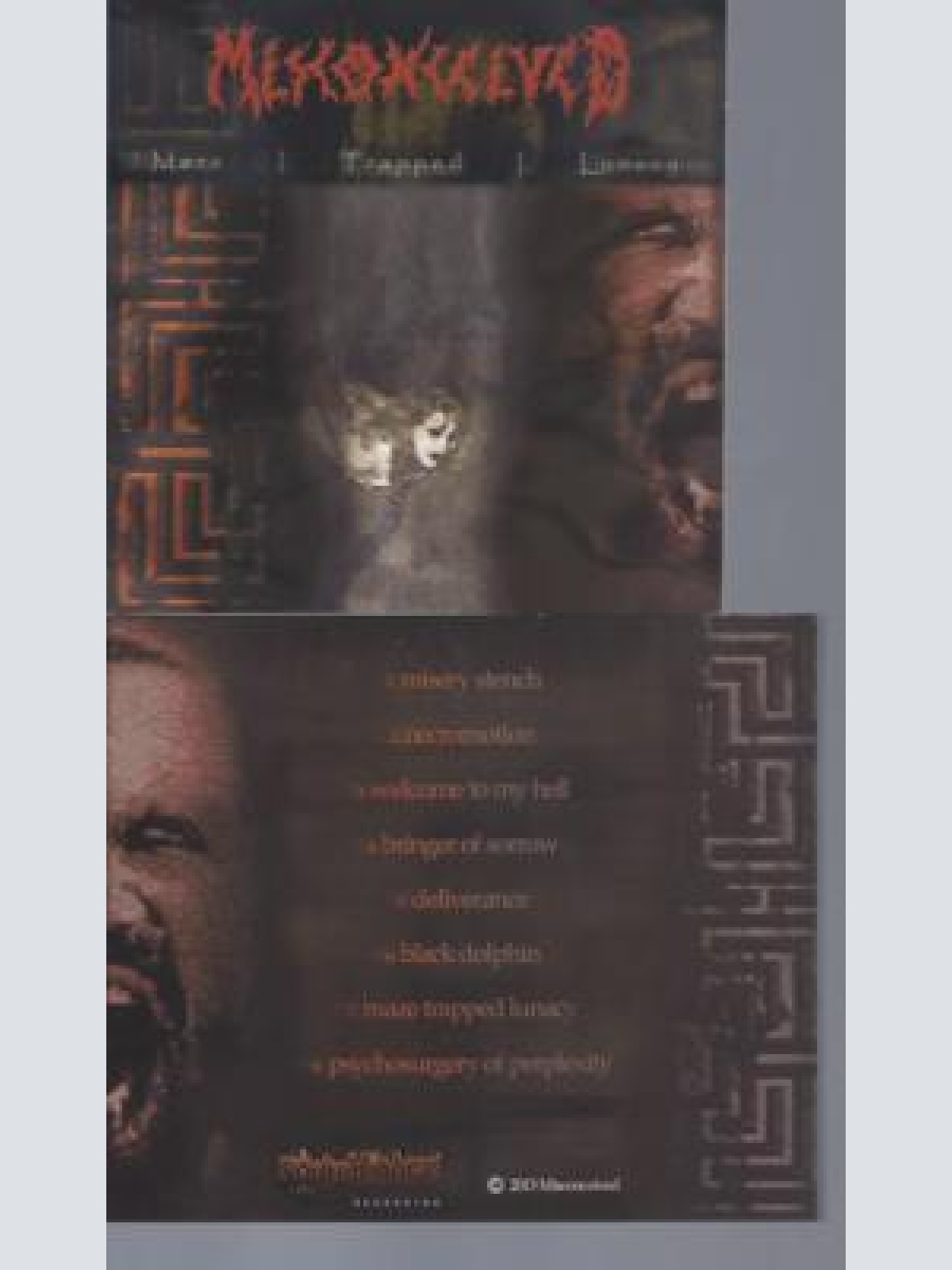 CD--MISCONCEIVED MAZE TRAPPED LUNACY