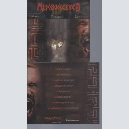 CD--MISCONCEIVED MAZE TRAPPED LUNACY