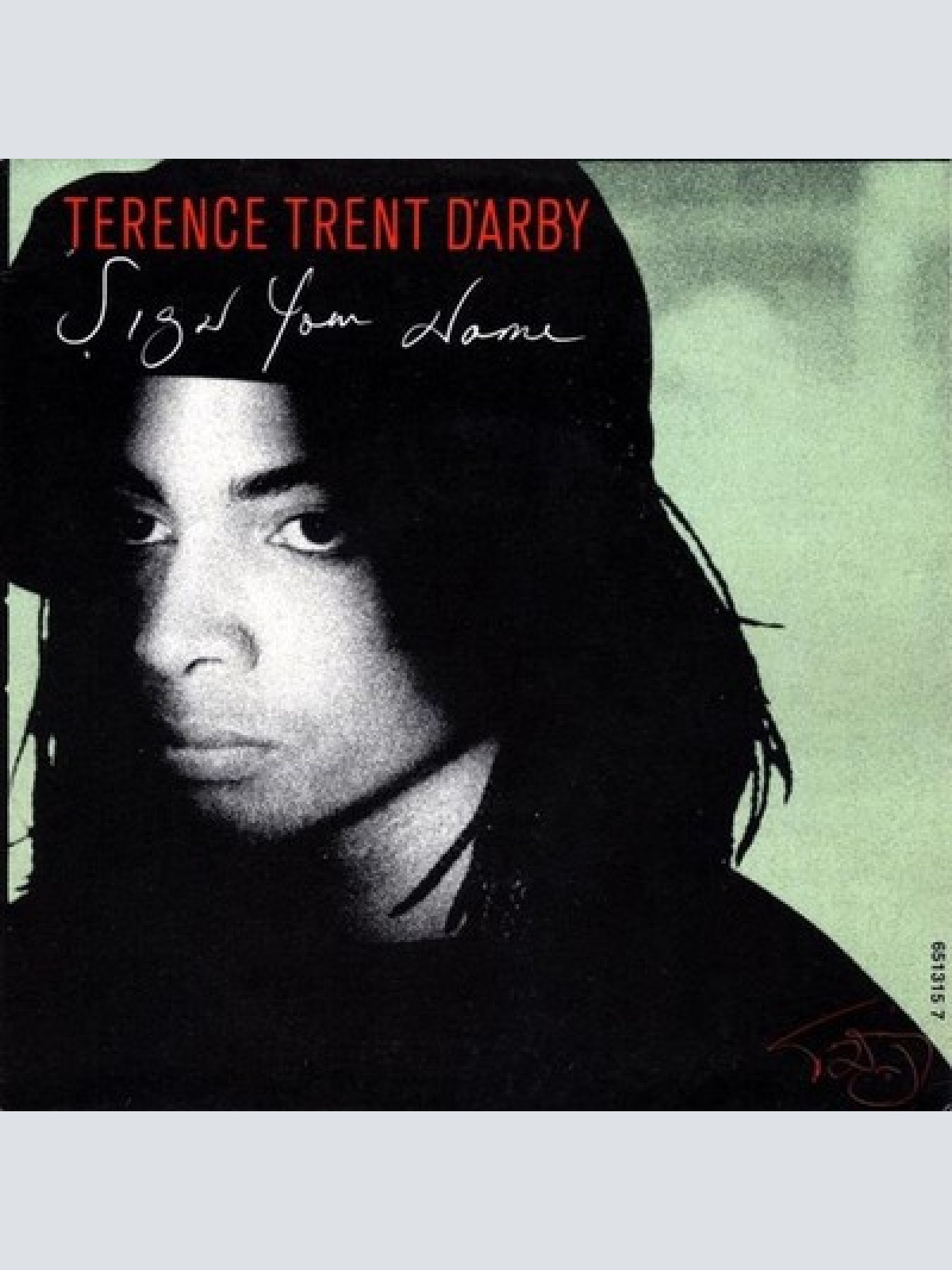 7", Single Terence Trent D'Arby - Sign Your Name
