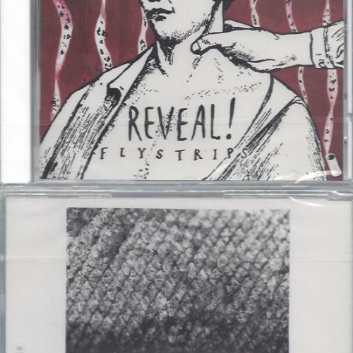 CD-- Reveal   Flystrips