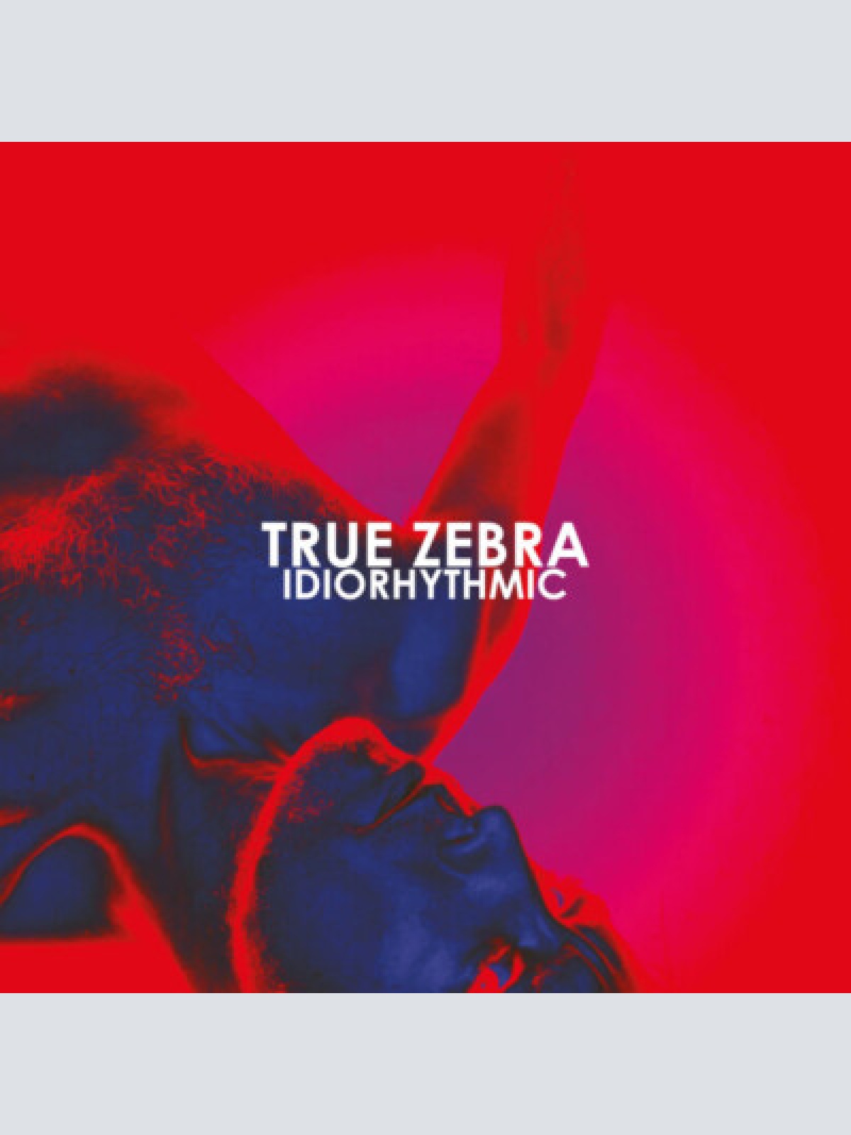 CD, Mini True Zebra - Idiorhythmic