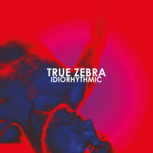 CD, Mini True Zebra - Idiorhythmic