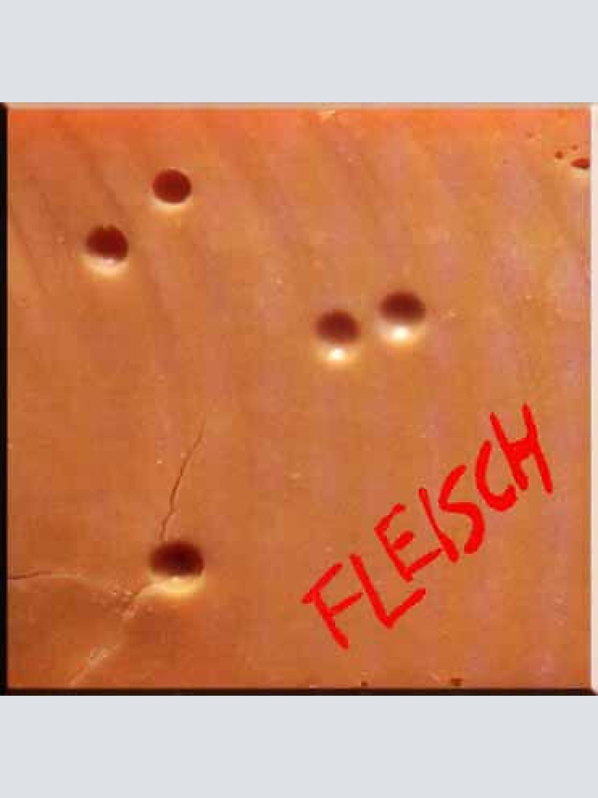 CD, Album Fleisch (5) - Das Gelbe Album