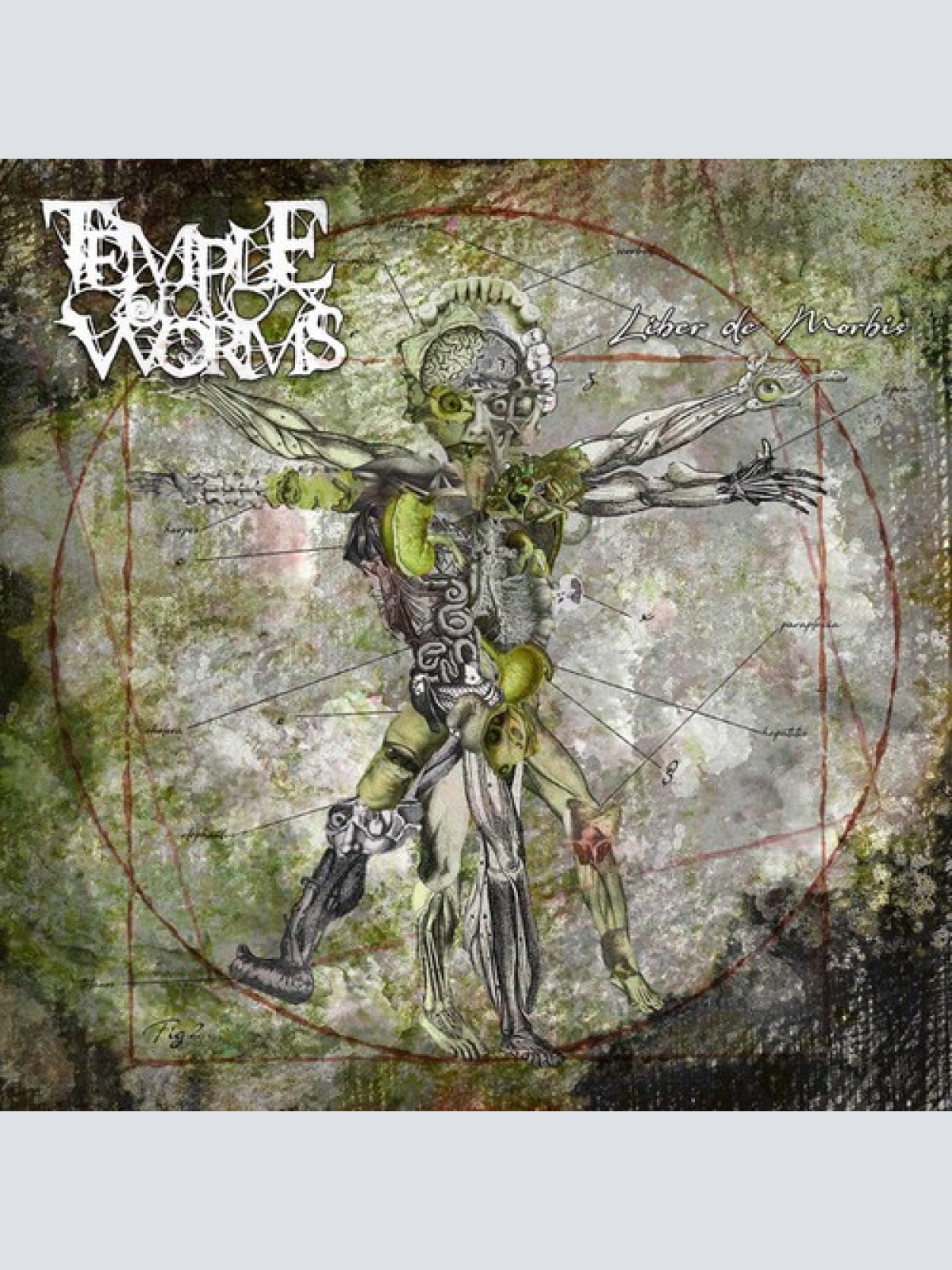 CD Temple Of Worms - Liber De Morbis