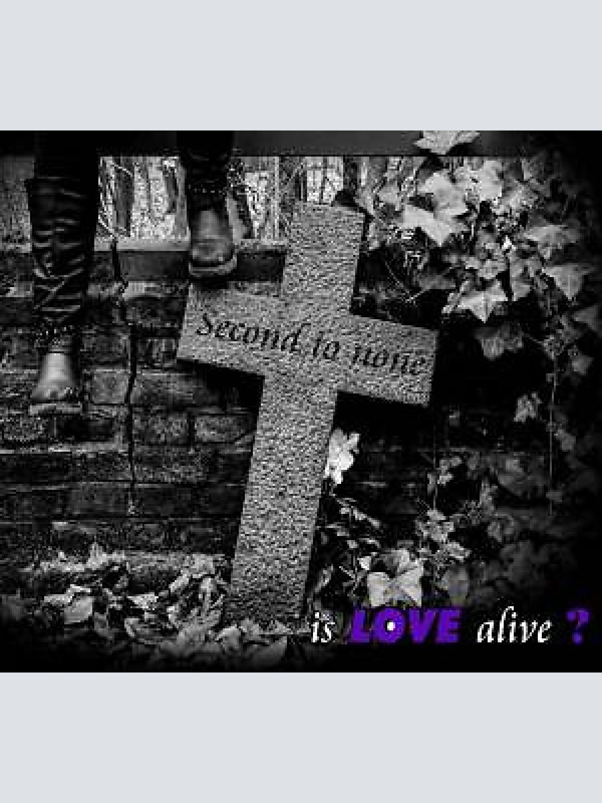 CD, Album Is Love Alive ? - Second To None