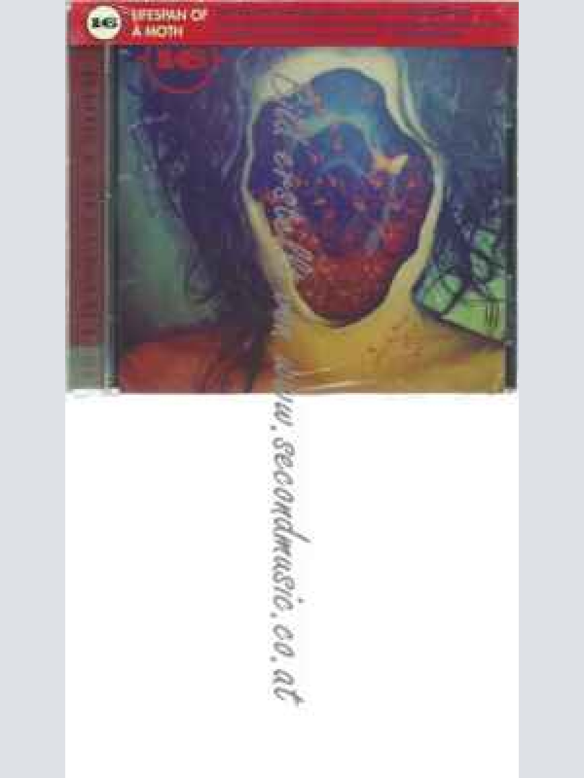 CD-- | --Lifespan of a Moth