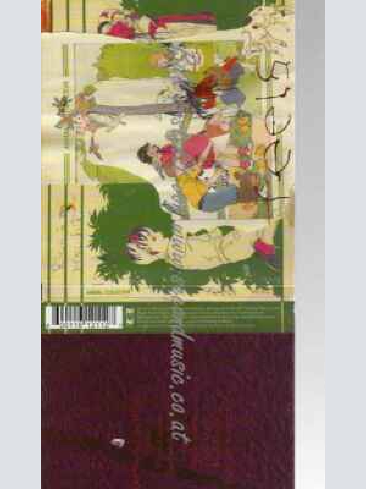 CD--Animal Collective | --Feels