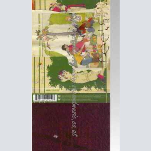 CD--Animal Collective | --Feels