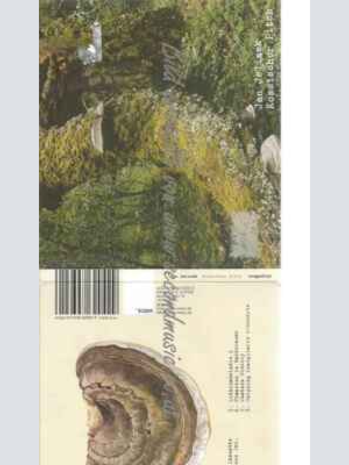 CD--Jan Jelinek | --Kosmischer Pitch