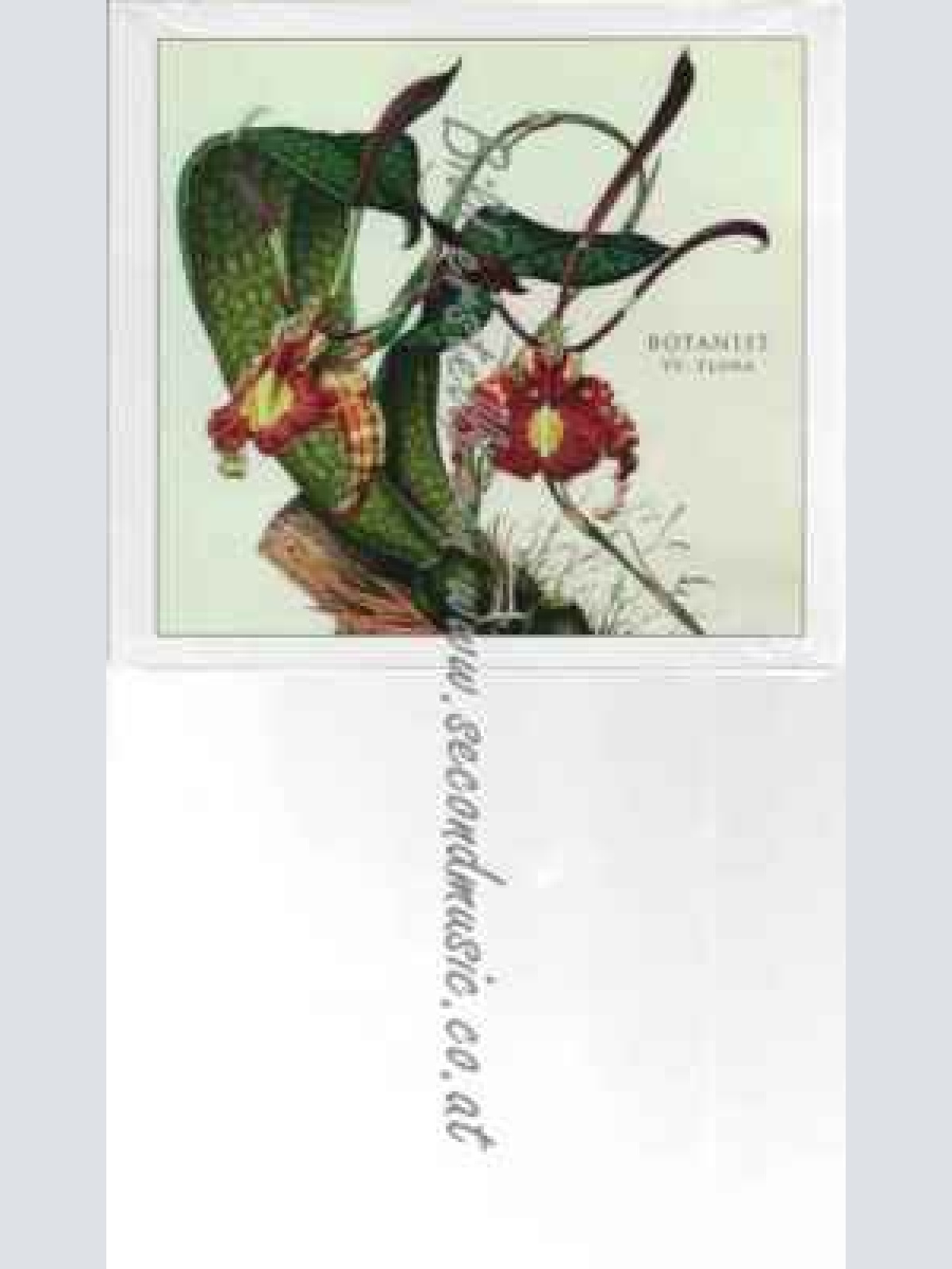 CD--Botanist--VI: Flora