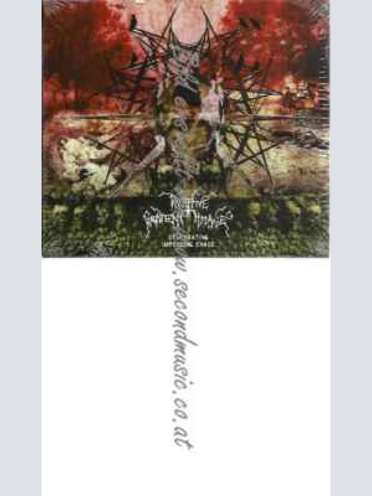 CD--Primitive Graven Image | --Celebrating Impending Chaos