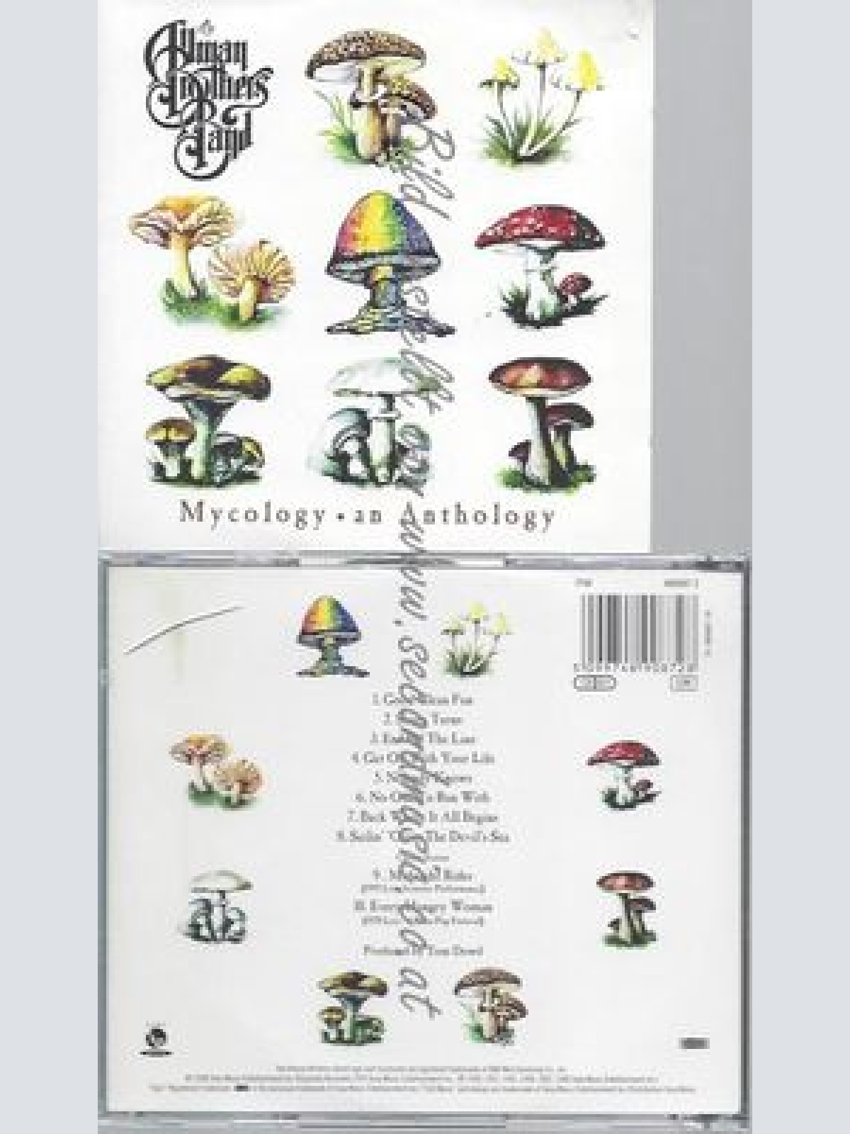 CD--THE ALLMAN BROTHERS BAND--MYCOLOGY AN ANTHOLOGY | IMPORT