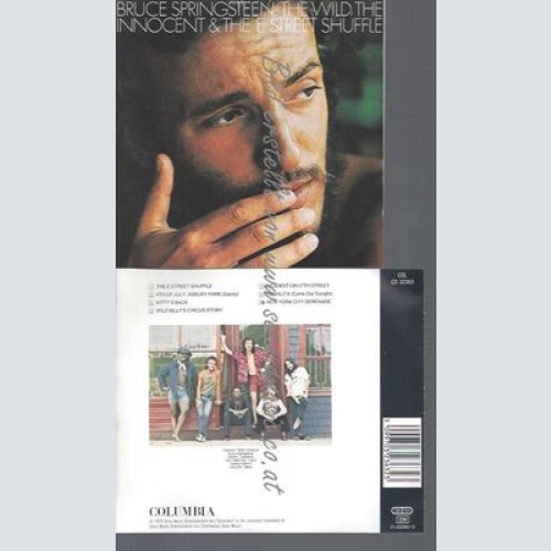 CD--BRUCE SPRINGSTEEN--THE WILD, THE INNOCENT & THE E STREET SHUFFLE