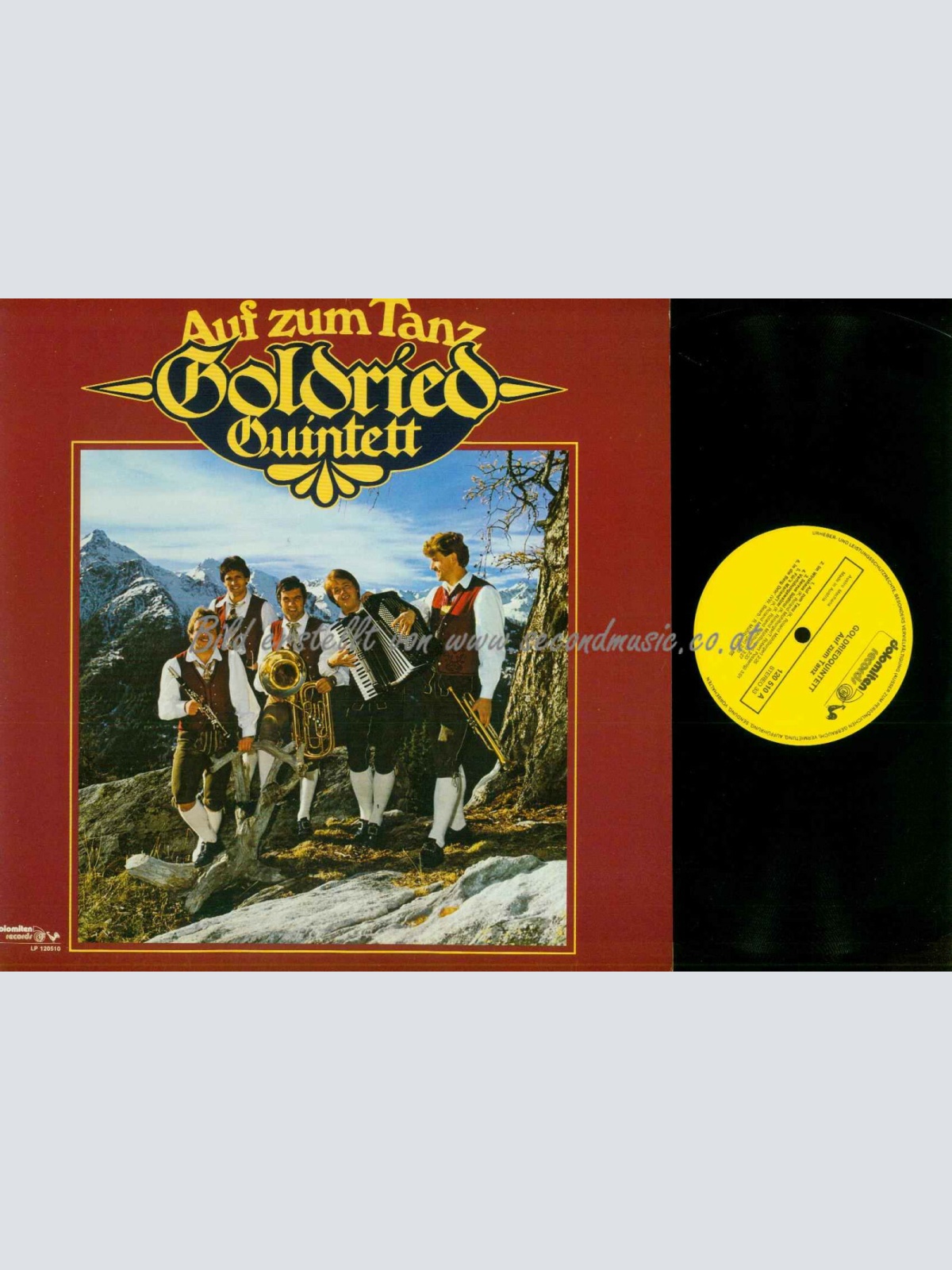 LP--Goldried Quintett – Auf Zum Tanz  / NM /