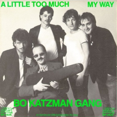 7", Single Bo Katzman Gang - A Little Too Much