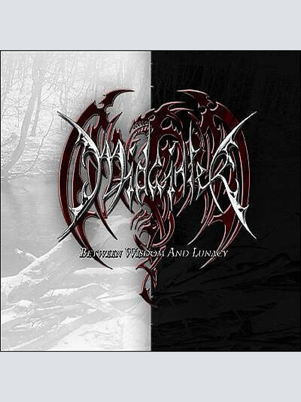 CD, Album Midwinter - Between Wisdom And Lunacy