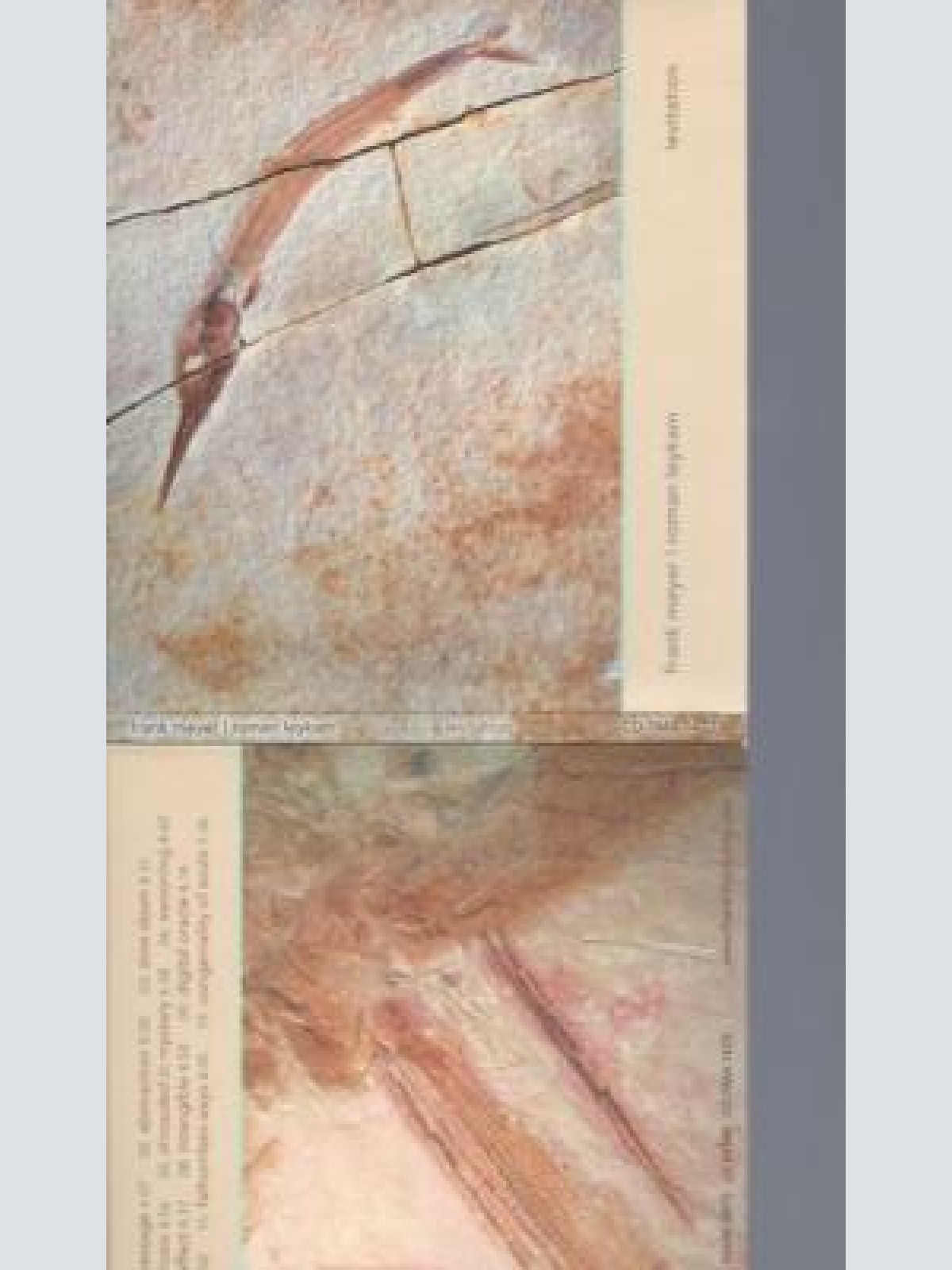 CD--FRANK MEYER ROMAN LEYKAM LEVITATION