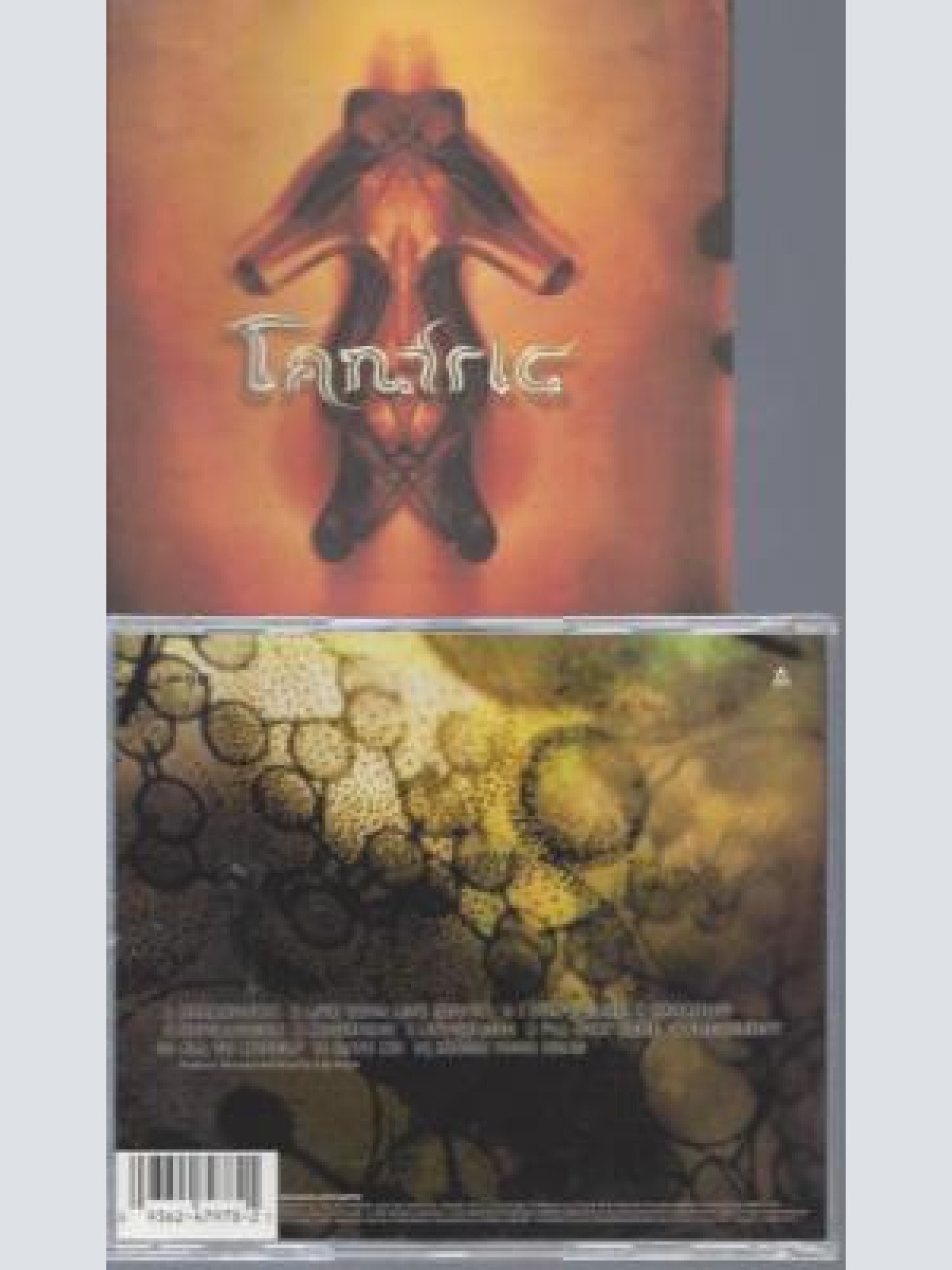 CD--TANTRIC// USED