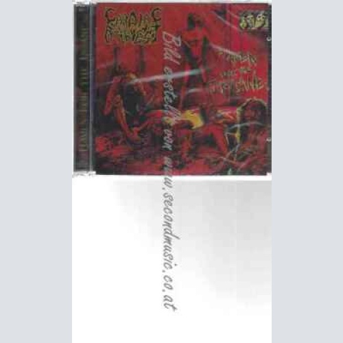 CD--Cardiac Arrest | --Haven For The Insane